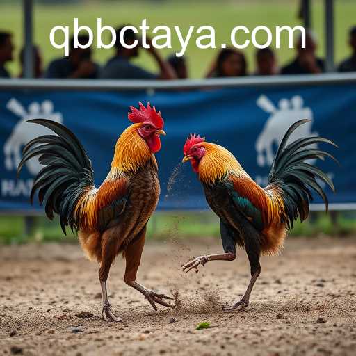 Exploring the World of Online Sabong and its Connection to QBBC